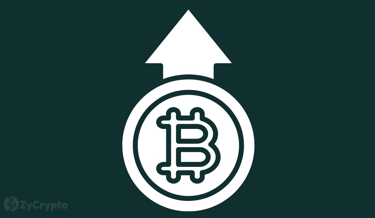 BlackRock Considers Increasing Bitcoin Holdings, Foreseeing Massive BTC Price Upside