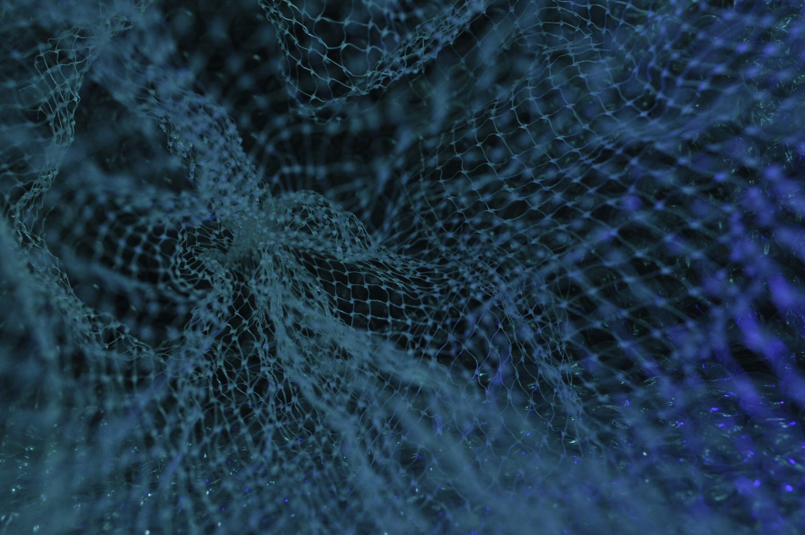 Getting started with Vector Databases