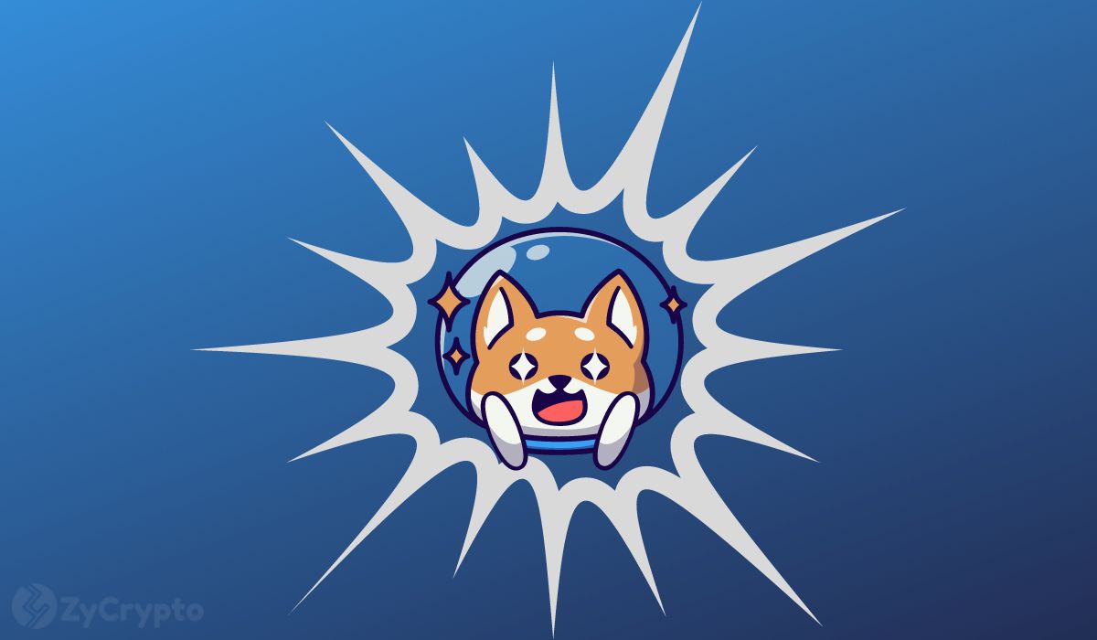 $0.001 Shiba Inu Price Now ‘Crazily’ In View as Memecoins’ Performance Go Through The Roof