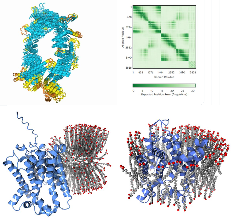 “Sparks of Chemical Intuition”—and Gross Limitations!—in AlphaFold 3
