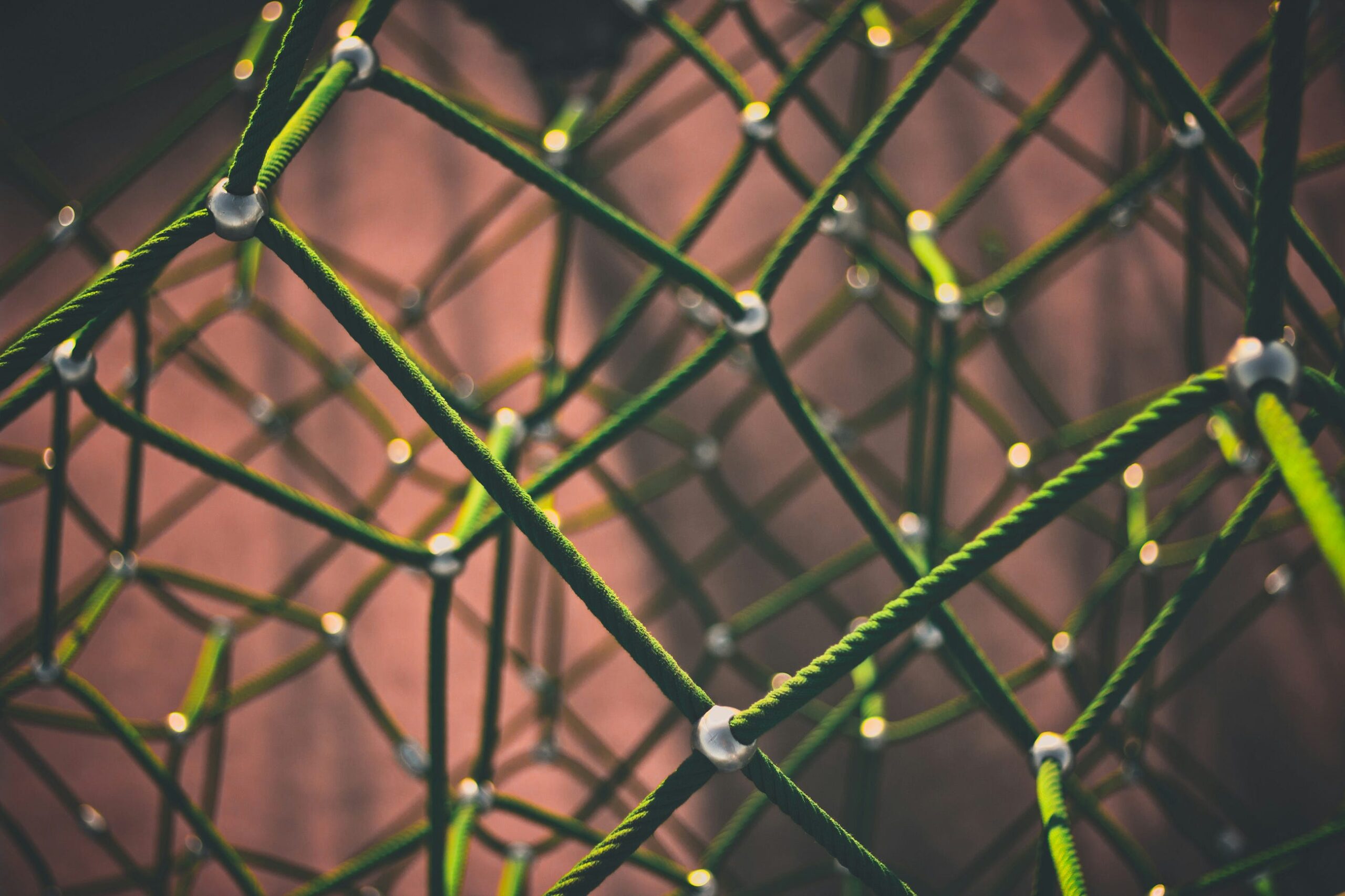 PAGA Explained: Graphical Abstractions of Single-Cell Data