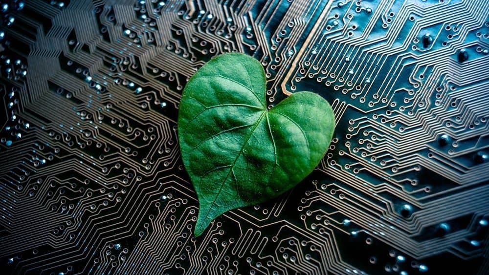 Eco-Friendly AI: How to Reduce the Carbon and Water Footprints of Your ML Models