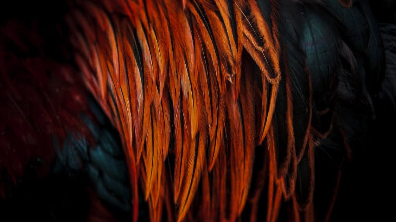 Winners of the 2024 iPhone Photography Awards announced