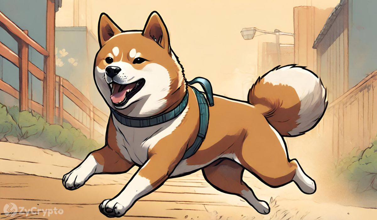 Shiba Inu’s Lead Developer Showcases Why SHIB Ecosystem Security Is A Top Priority