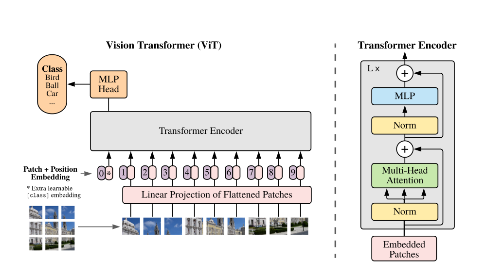 How to Train a Vision Transformer (ViT) from Scratch