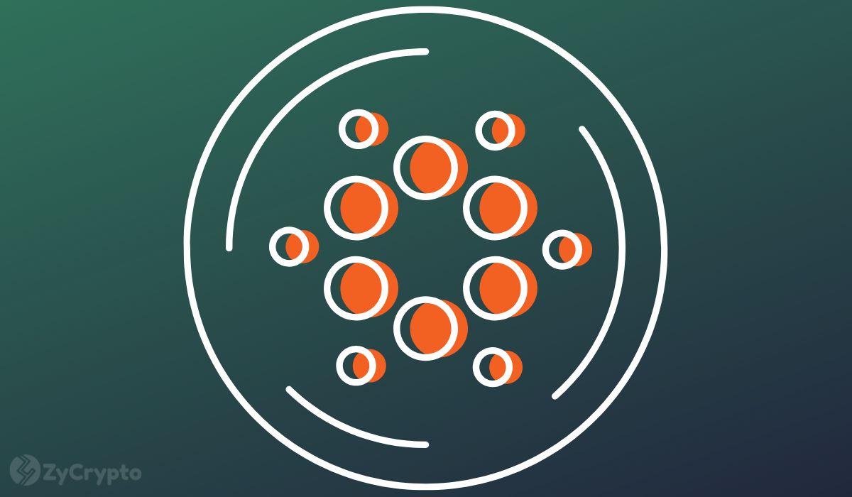 Pundit Slams Cardano’s ADA as a ‘Cult Coin’, Claims BNB is The Only ‘True Store Of Value’
