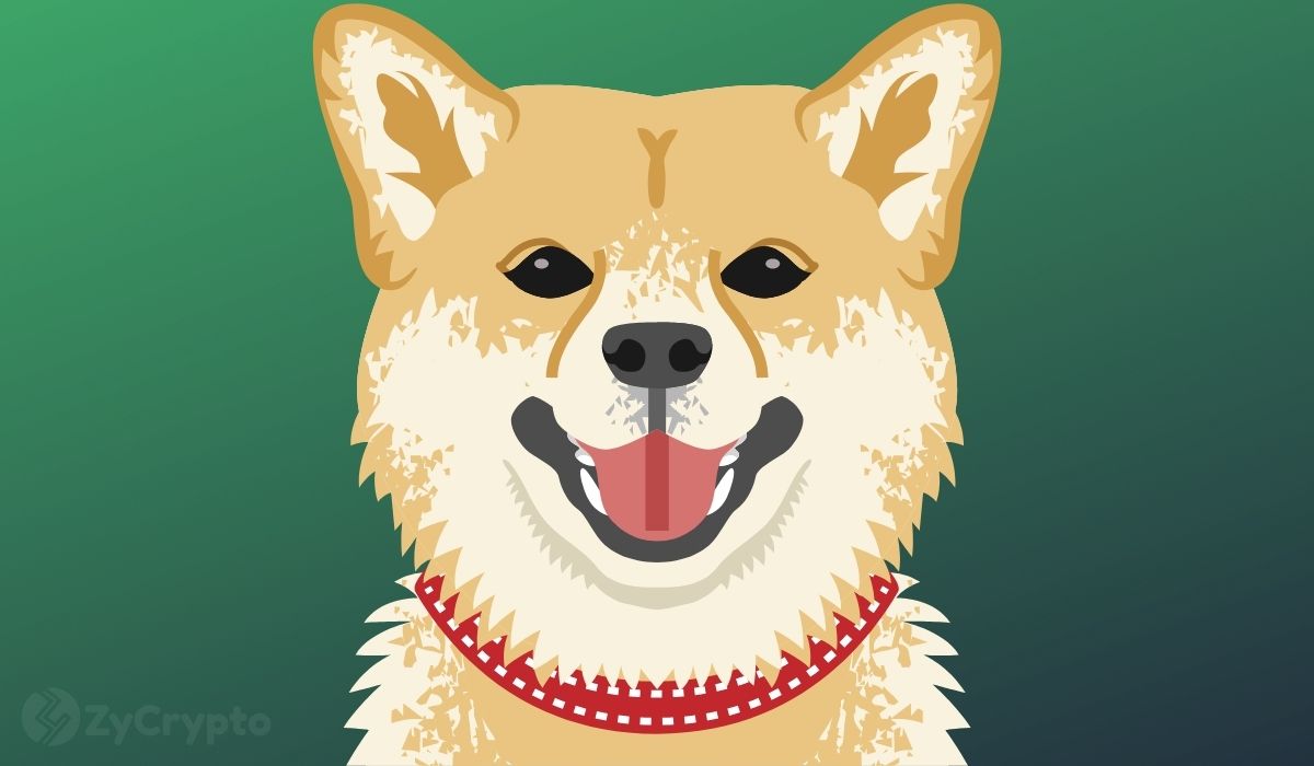 Elon Musk Fuels Dogecoin Hype Once Again — Will This Push DOGE To $1 Anytime Soon?