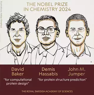 Why the 2024 Nobel Prize in (AI for) Chemistry Matters So Much