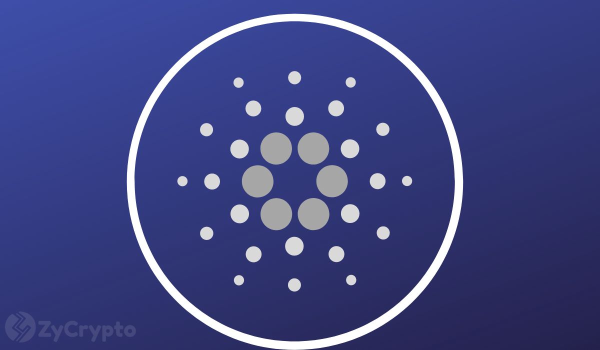 ADA Shows Strong Whale Activity Amid Cardano Becoming the Face of Argentina’s First Legitimate Smart Contract