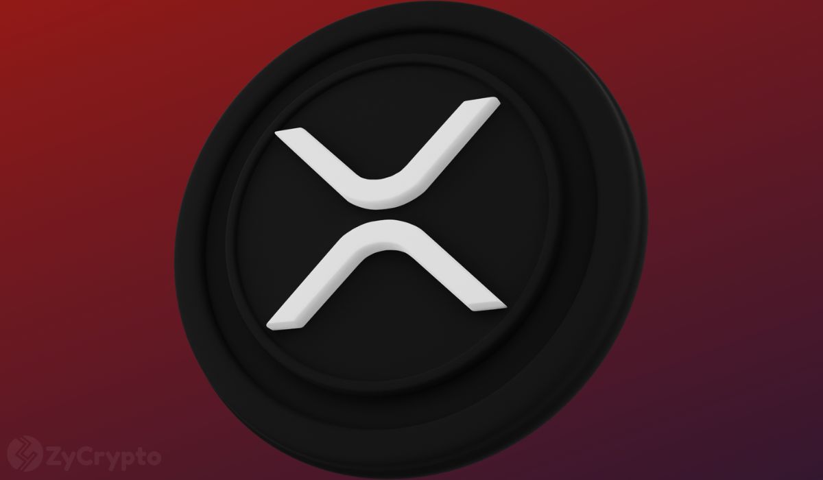 Ripple Chairman Chris Larsen Donates $1 Million In XRP To Kamala Harris’ Campaign Amid SEC Case