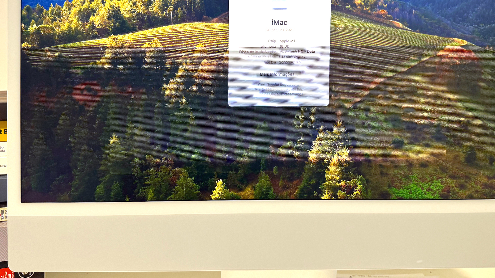 Recall or free repair? Apple M1 iMac users complain of screen fault, but claim Apple is refusing to take responsibility