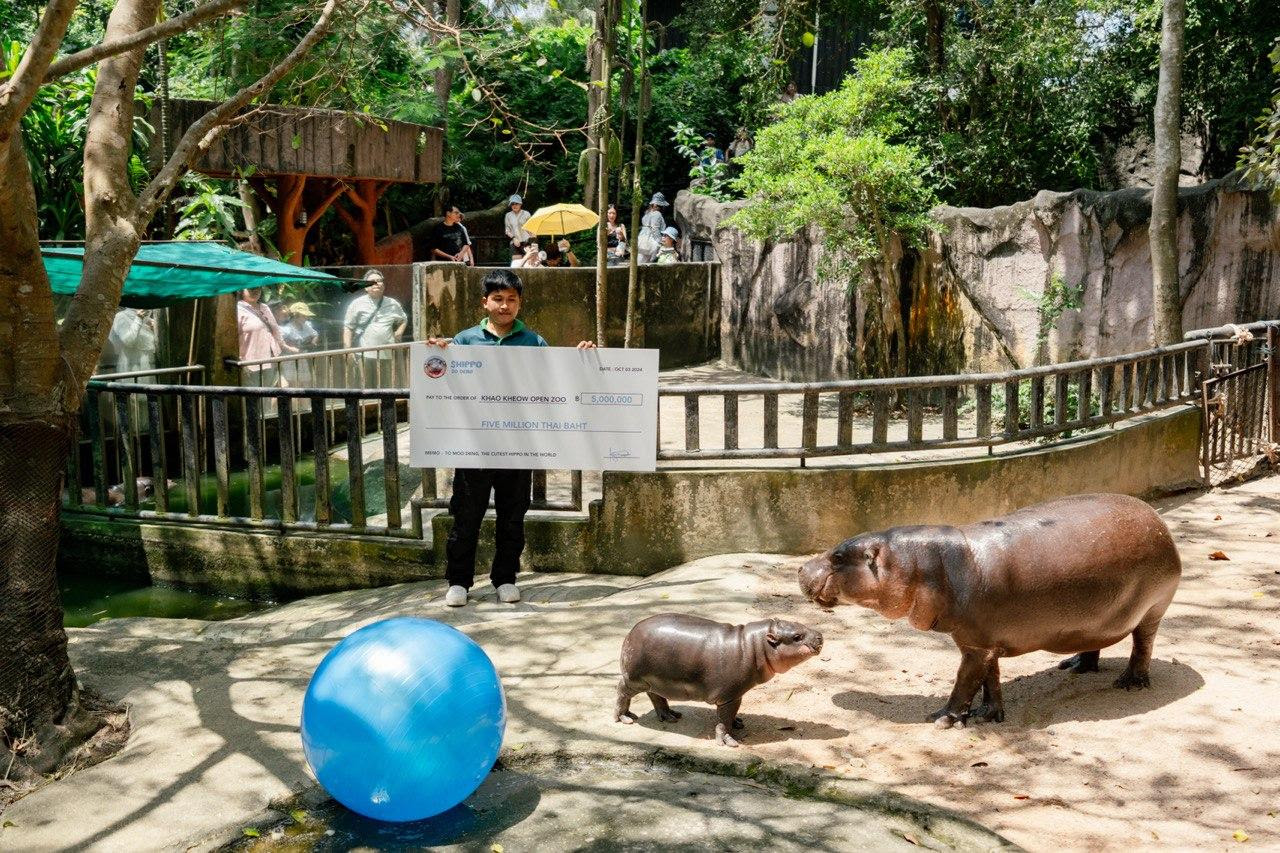 SUI meme token $HIPPO enters into official charity partnership with Moo Deng’s zoo
