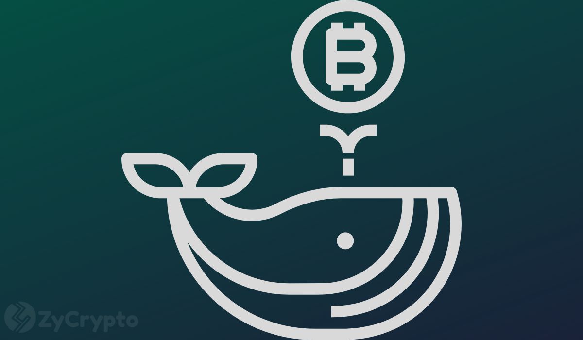 Bitcoin Whale Accumulation Intensifies as Institutional Investors Raise Targets