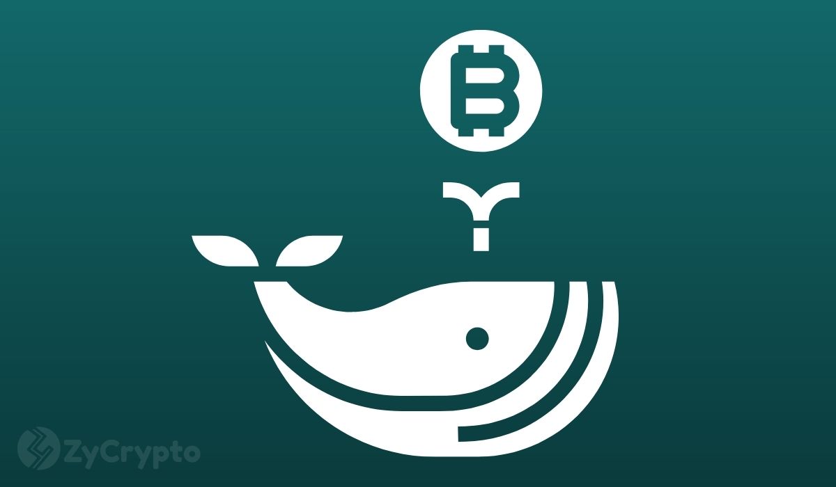 Bitcoin Whales Are Embracing Binance as Exchange Battle Thickens