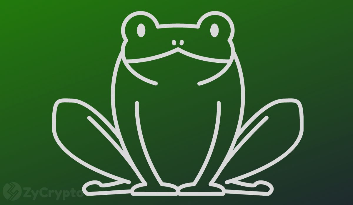 Whales Amass Huge PEPE Holdings As Meme Coins Rebound