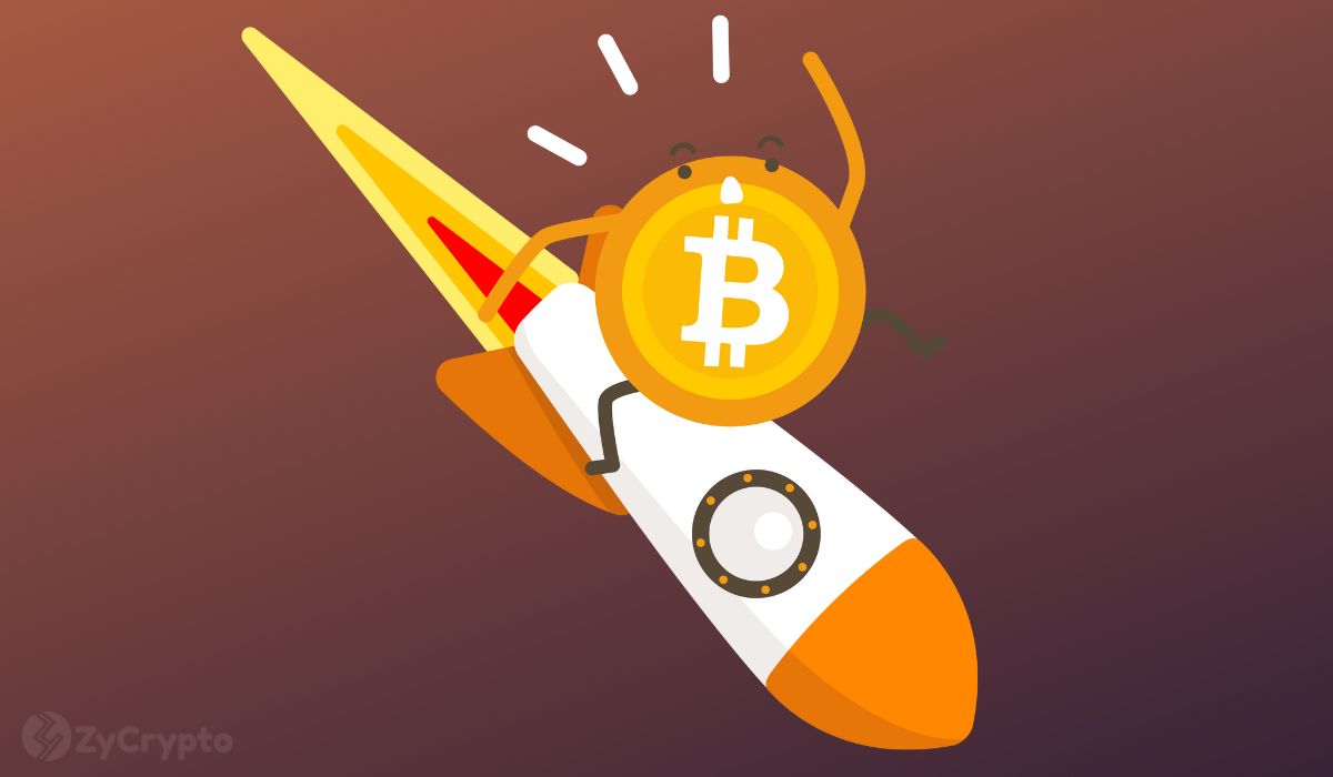 Massive Crash Incoming? Old Bitcoins In Circulation Weaken Trader Sentiments