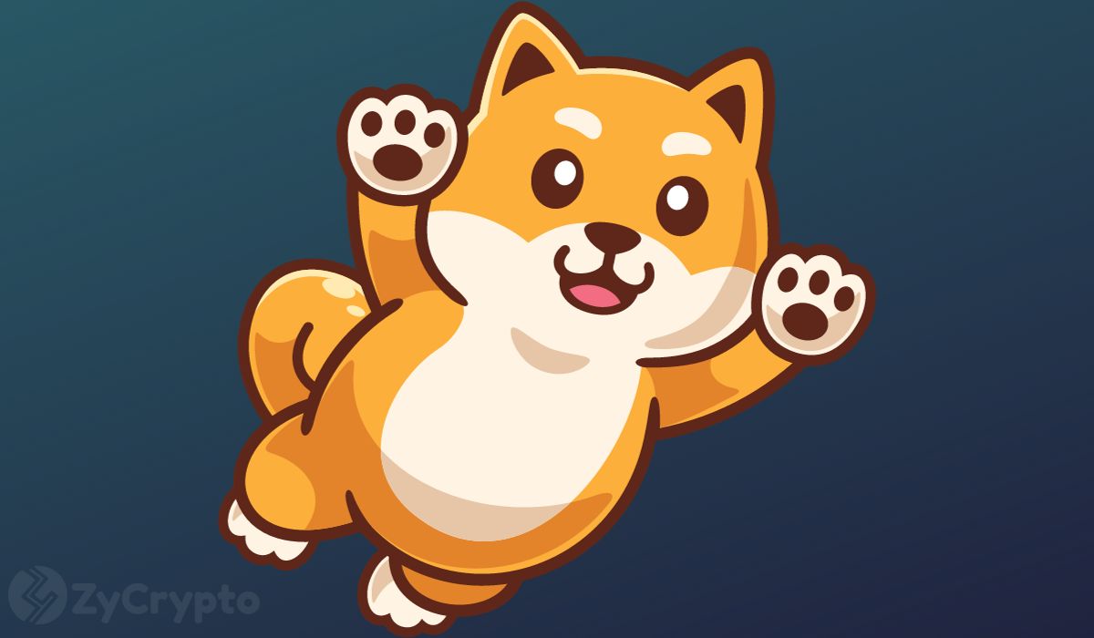 Shiba Inu Records Massive Outflows As Whales Move Billions — What’s Next For SHIB Price?