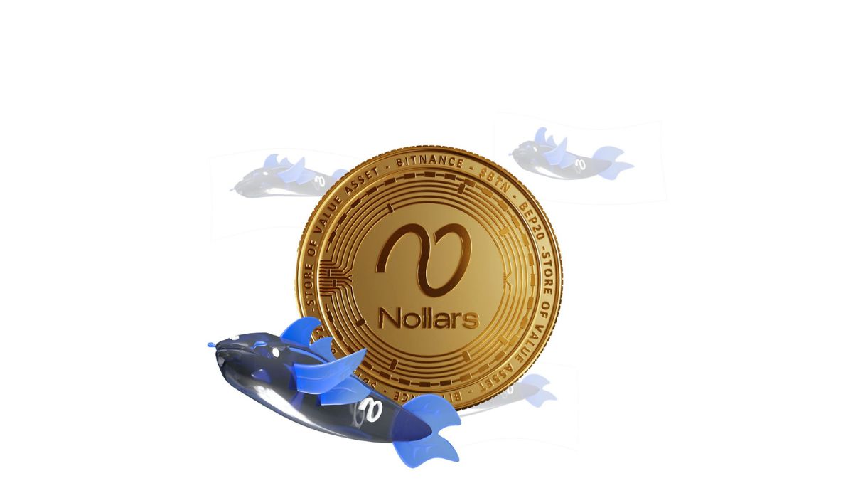 Nollars Network Presale Adds US12000 from single whale