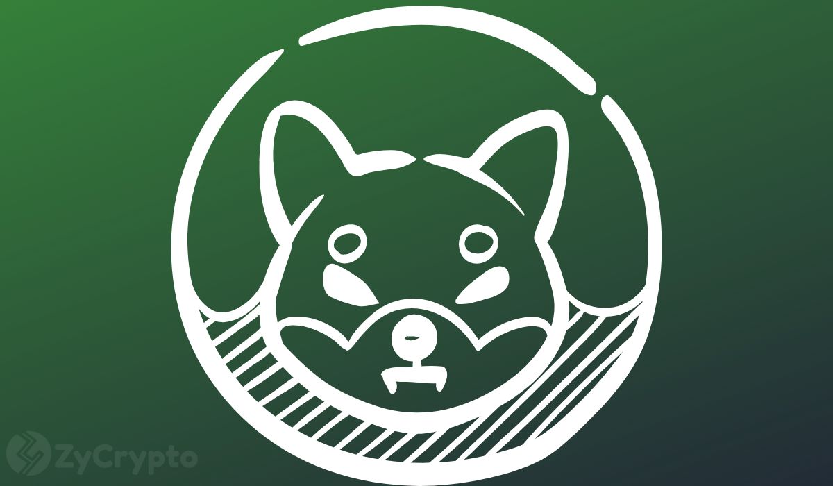 Shiba Inu Shibarium Unveils Major Ultra Bullish Update After Hitting Key Milestone